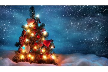 Albero di Natale neve